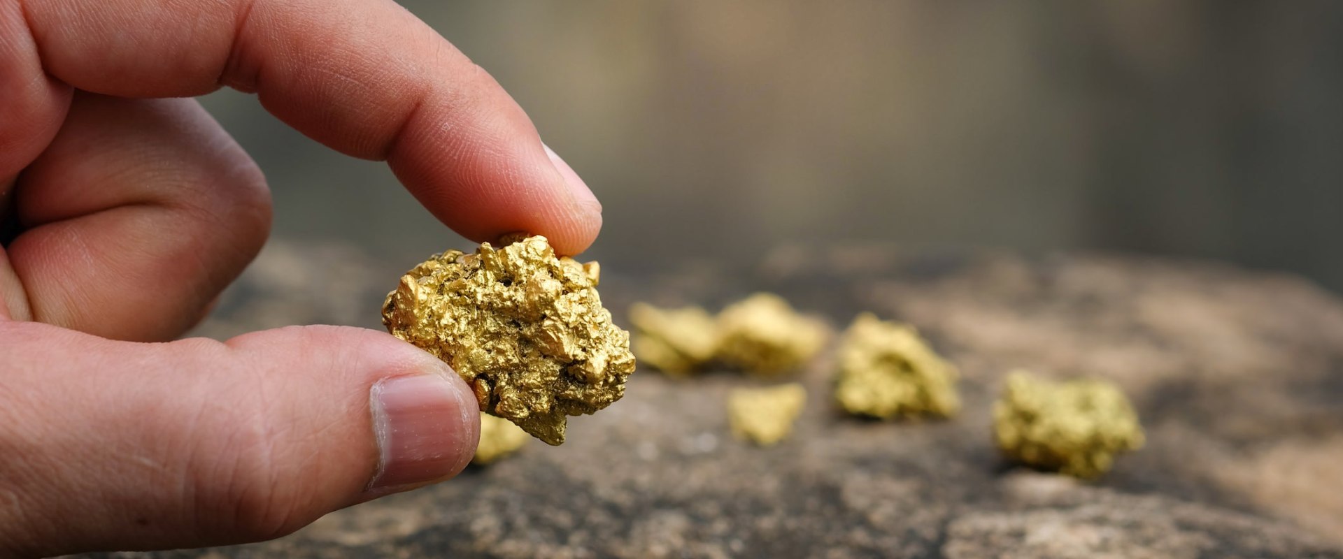 Can you put gold in a roth rage?