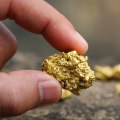 Can you have gold in a roth rage?